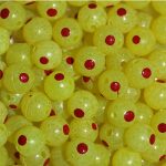 TROUTBEADS® Blood Dot Eggs Lemon Roe